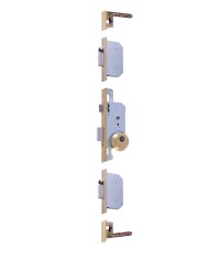 CERRADURA TLPN5/66/CE C/C DORADA TESA
