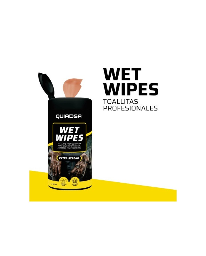 BOTE DE TOALLITAS WET QUIADSA