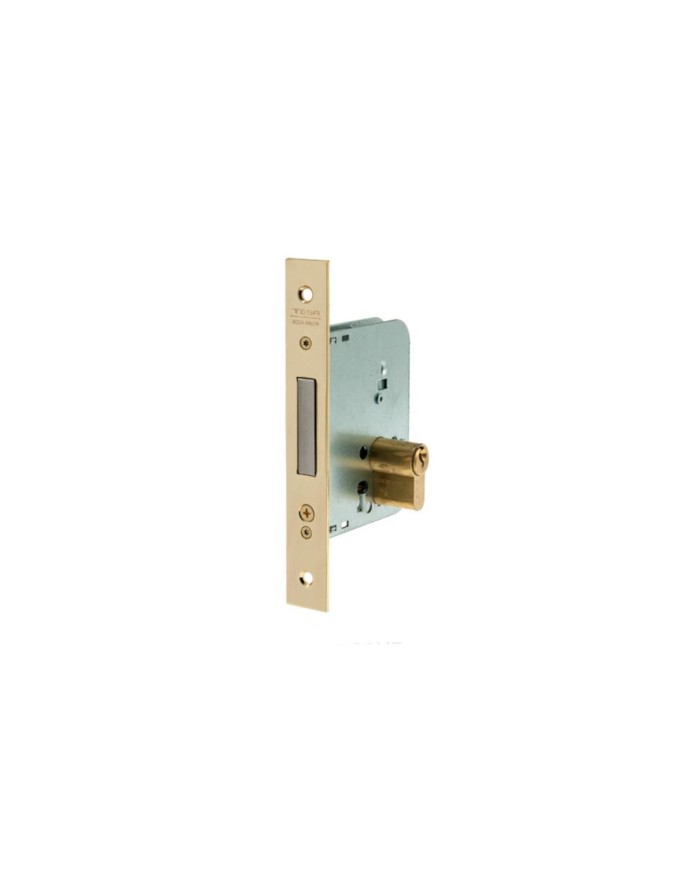 CERRADURA Nº 2031 TESA
