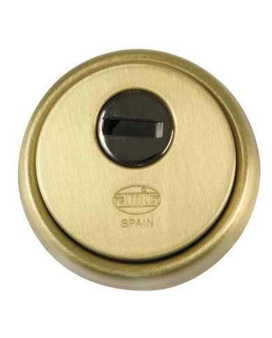 ESCUDO SEGURIDAD Nº 30-65 AMIG