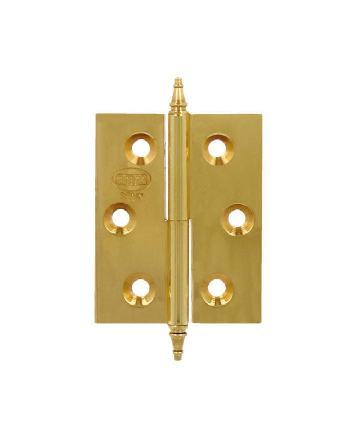 BISAGRA 1006