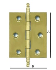 BISAGRAS 207