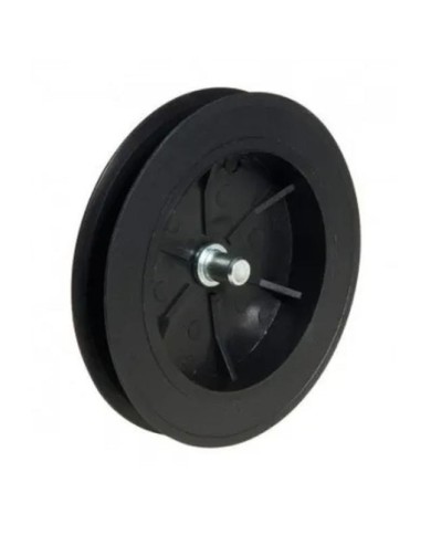 DISCO PERSIANA CON ESPIGA 120X40 C-18