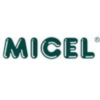 MICEL-VEGA, SL
